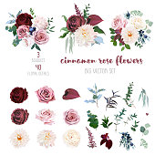 Desert cinnamon, brown, dusty pink and creamy roses, dahlia, burgundy anthurium flowers, juniper, eucalyptus, greenery, ranunculus, marsala astilbe big vector collection. Isolated and editable