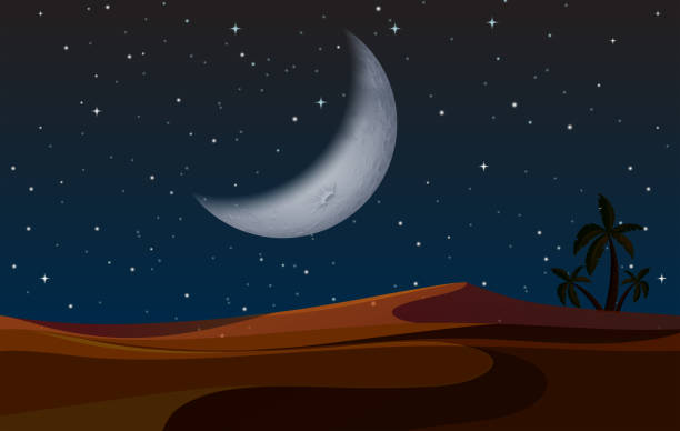 A desert landscape at night A desert landscape at night illustration desert area clipart stock illustrations