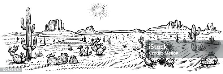 istock Desert panorama landscape, vector illustration. Arizona line sketch with cactuses and rocks. 1226951760