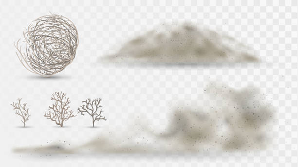 Desert plants and dust Desert plants and dust, arid climate elements on a white background, tumbleweed and sandstorms rolling stock illustrations