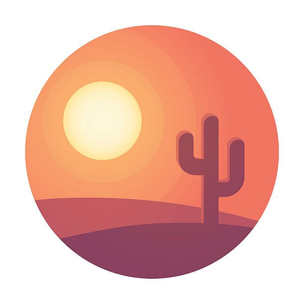 Desert sunset landscape Flat cartoon desert sunset landscape with cactus in circle. Background vector illustration. desert area icons stock illustrations