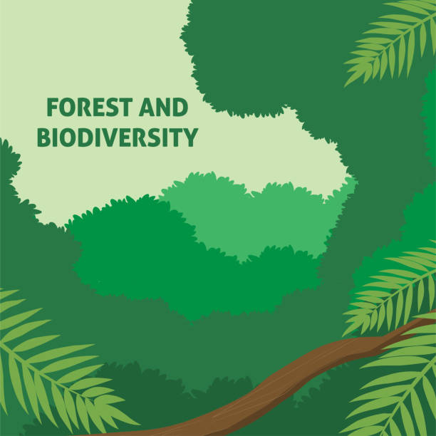 bildbanksillustrationer, clip art samt tecknat material och ikoner med design för årligt evenemang av internationella skogsdagen, 21 mars - biodiversity