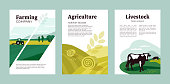 Set of posters with agriculture, farming and livestock. Vector illustrations of tractor, hayfield, hay stack rolls, farm animals and cows in pasture. Template for banner, cover, flyer, print, brochure