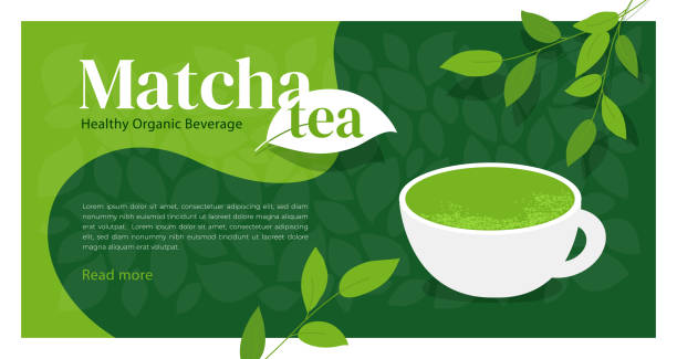 Design template with matcha tea Cup of healthy organic beverage matcha tea. Illustration of Japanese drink made from green powder. Branches of tea plant with leaves. Macha sign design. Background, template for menu, web page, flyer tea crop stock illustrations