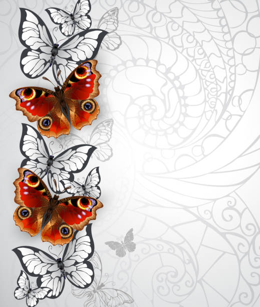 Design with peacock butterfly Design with realistic, textured peacock eye butterflies and white butterflies on gray textured background. Red butterfly. butterfly flower stock illustrations