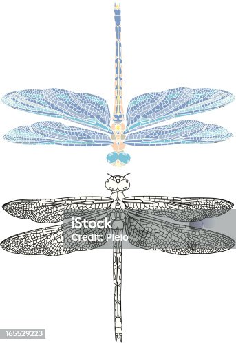istock detailed dragonfly illustation outline and mosaic style 165529223