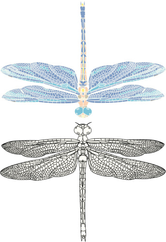 detailed dragonfly illustation outline and mosaic style