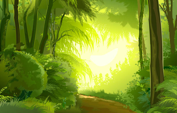 詳細な森林景観。道路。ベクターの背景イメージ。美しい夏や春の風景、ヨーロッパの木、熱帯植物のジャングル。シーンの詳細イラスト:緑の葉の太陽の光の景色 - 雨林点のイラスト素材／クリップアート素材／マンガ素材／アイコン素材