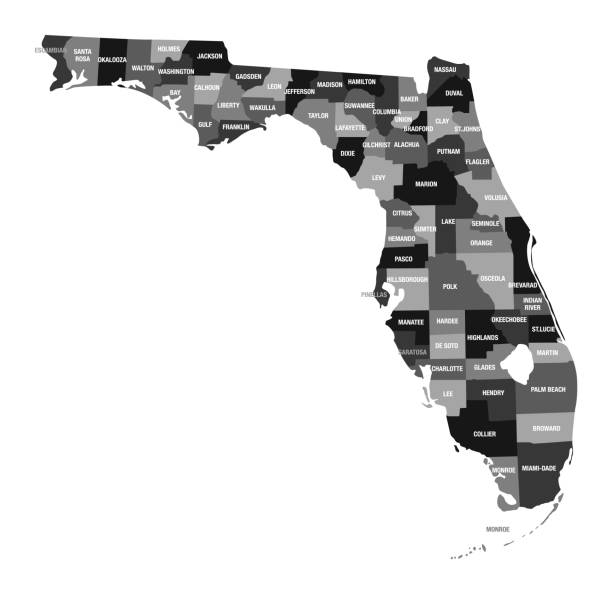佛羅里達州與縣分區的詳細地圖 - 南方 幅插畫檔、美工圖案、卡通及圖標