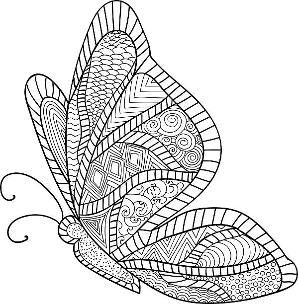 Detailed ornamental sketch of a moth Detailed ornamental sketch of a moth,Hand drawn  butterfly coloring stock illustrations