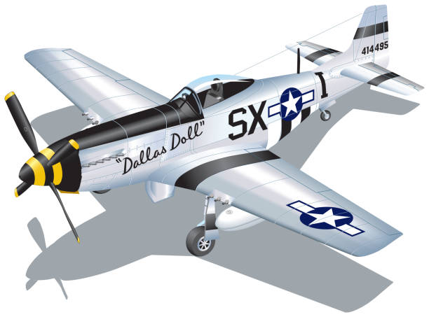 Detailed Vector Illustration of P-51 Mustang Fighter Plane Detailed Vector Illustration of P-51 Mustang Fighter Plane ww2 american fighter planes stock illustrations