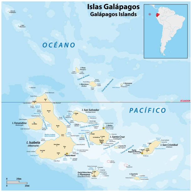 detaillierte vektorkarte der galapagos-inseln, ecuador - galápagos stock-grafiken, -clipart, -cartoons und -symbole