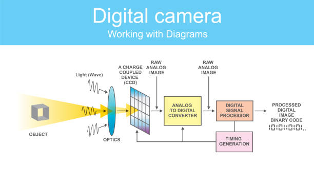Diagram digital dslr. Digital single-lens reflex camera is a digital camera that combines the optics with a digital imaging sensor, as opposed to photographic film. dslr camera stock illustrations