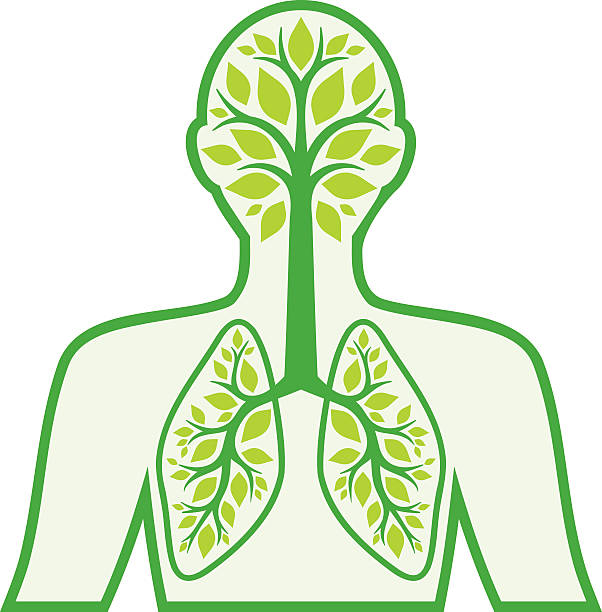 Image result for breathe clip art