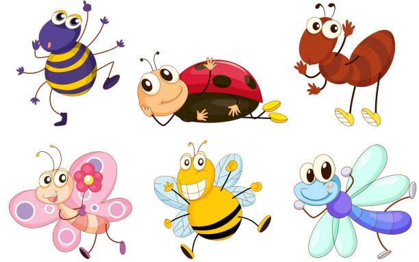 Different bugs and insects Different bugs and insects on a white background ant clipart pictures stock illustrations