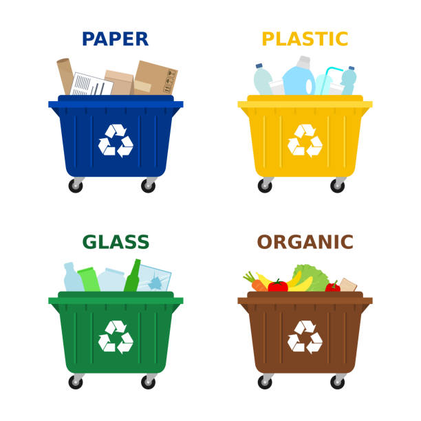 stockillustraties, clipart, cartoons en iconen met verschillende gekleurde afvalcontainers voor het sorteren van afval. afval scheiden, afval sorteren, afvalbeheer. - waste disposal