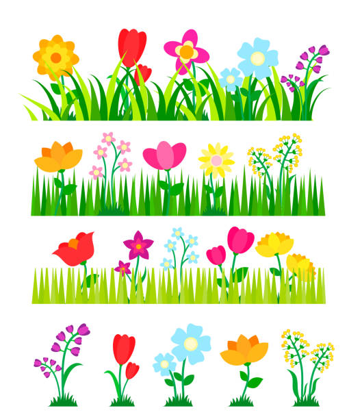 stockillustraties, clipart, cartoons en iconen met verschillende bloemen collectie met groen gras. perken set in de tuin, vector illustratie - border
