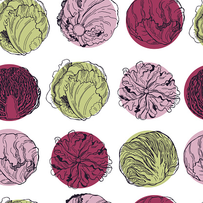 Different kinds of lettuce . Vector pattern.