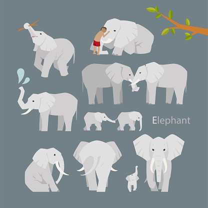 Different positions of elephants.