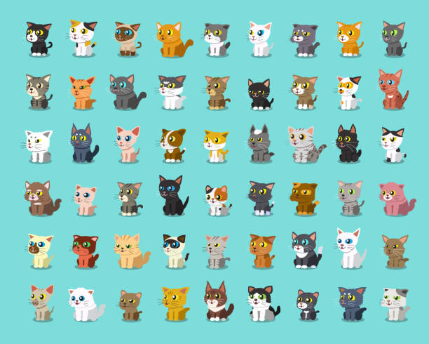 illustrations, cliparts, dessins animés et icônes de différents types de chats de dessins animés - chaton