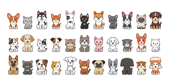 Different type of vector cartoon cats and dogs