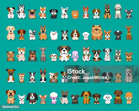 istock Different type of vector cartoon dogs 960465154
