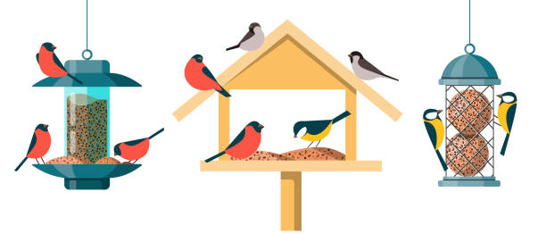 różne rodzaje karmników dla ptaków - karmnik dla ptaków stock illustrations