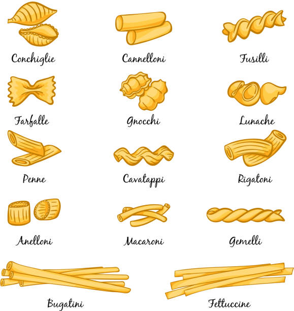 illustrazioni stock, clip art, cartoni animati e icone di tendenza di diversi tipi di pasta. cibo tradizionale italiano. immagini in stile cartone animato - tomori