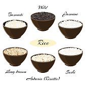 Different types of rice Basmati, wild, jasmine, long brown, arborio, sushi in ceramic bowls Vector illustration EPS 10.