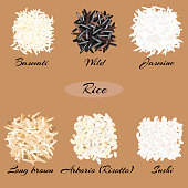 Different types of rice Basmati, wild, jasmine, long brown, arborio, sushi Vector illustration EPS 10