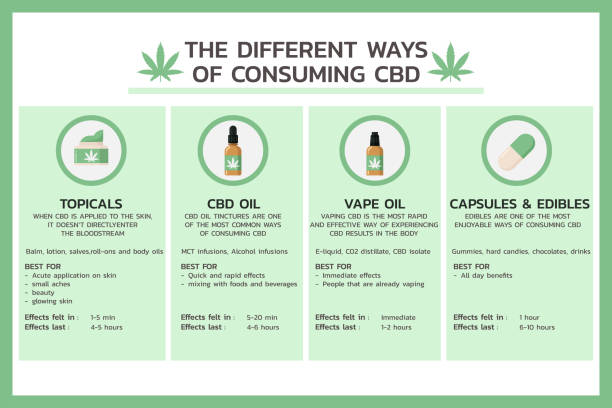 Different ways of consuming CBD infographic vector art illustration