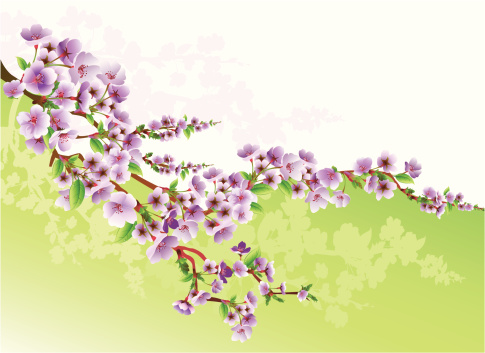 Digital animation of purple flowering blossoms
