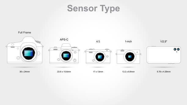 Digital camera sensor format (on scale 1:1) Digital camera sensor format (on scale 1:1) dslr camera stock illustrations
