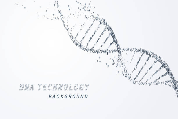 Digital of DNA virtual, technology and medical concept Digital of DNA virtual, technology and medical concept, vector art and illustration. dna backgrounds stock illustrations