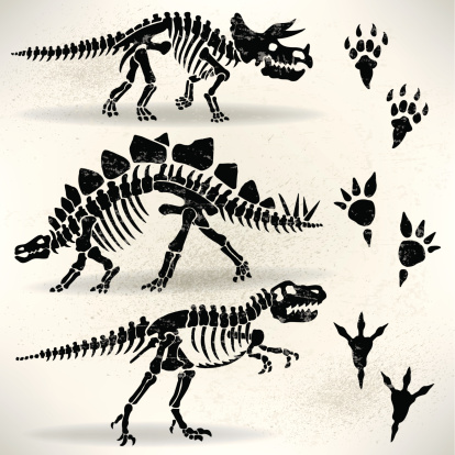 Dinosaur Foot Prints, Tyrannosaurus Rex, Stegosaurus,Triceratops