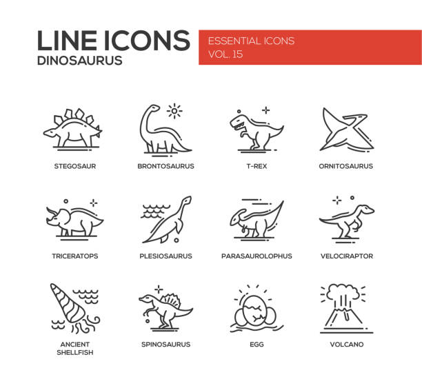 Dinosaurs species- line design icons set Set of modern vector plain line design icons and pictograms of dinosaurs species, prehistoric age life. Stegosaur, t-rex, brontosaurus, ornitosaurus, plesiosaurus, triceratops, velociraptor, spinosaurus dinosaur stock illustrations