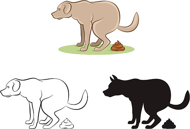 Royalty Free Dog Pooping Clip Art, Vector Images & Illustrations - iStock