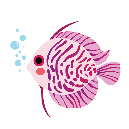 Discus Fish animal cartoon character vector illustration.