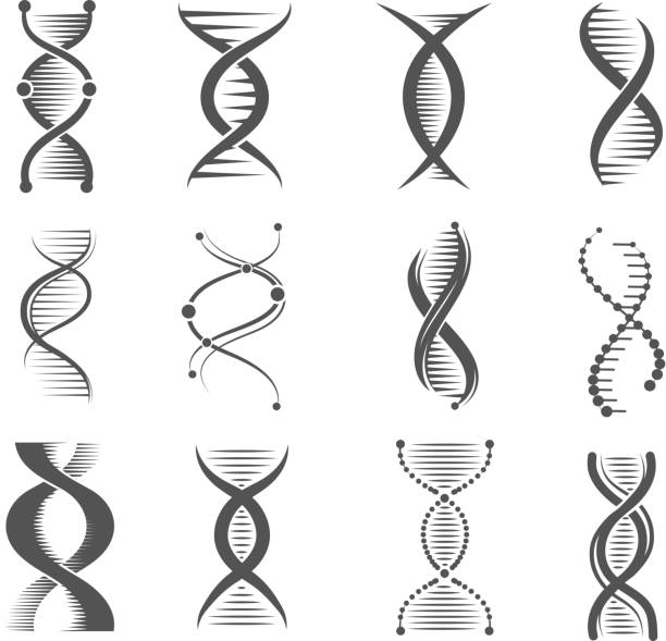 Dna spiral icons. Helix human technology research molecule and chromosome medical and pharmaceutical vector symbols Dna spiral icons. Helix human technology research molecule and chromosome medical and pharmaceutical vector symbols. Dna and chemistry, medical science biochemistry helix illustration snail stock illustrations