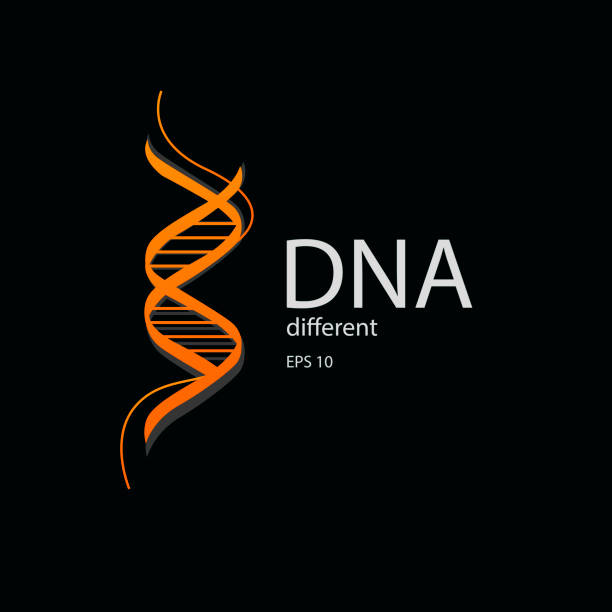 Dna spiral vector logo in orange color Dna spiral vector logo in orange color dna symbols stock illustrations