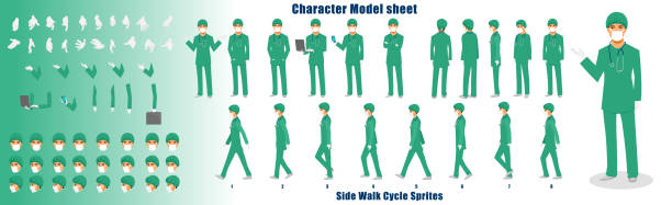 Doctor Character Turnaround Doctor Character Model sheet with Walk cycle Animation Sequence businessman borders stock illustrations