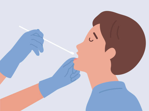 covid-19 테스트 또는 dna 테스트를 하는 의사는 코면 봉면 프로브로 남자와 긴 면봉을 입과 혀에 삽입합니다. 바이러스 확인. - 면봉 stock illustrations