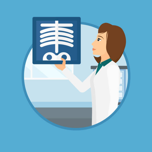 Doctor examining radiograph Doctor examining a radiograph. Doctor looking at a chest radiograph in the medical office. Doctor observing a skeleton radiograph. Vector flat design illustration in the circle isolated on background. doctor borders stock illustrations