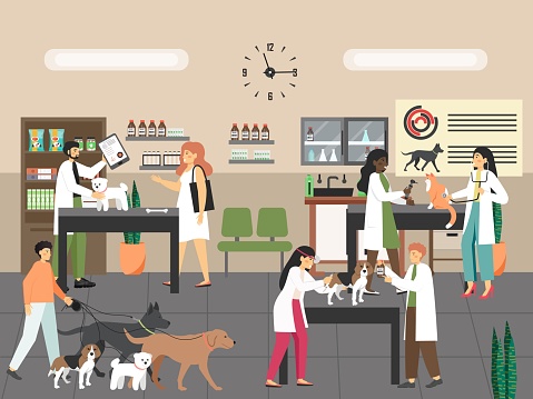 Doctor veterinarian giving dog injection, examining cat, vector illustration. Pet care. Vet clinic services.