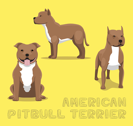 Dog American Pitbull Terrier Cartoon Vector Illustration