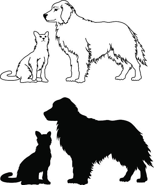 ilustrações de stock, clip art, desenhos animados e ícones de cão e gato estilo gráfico - golden retriever