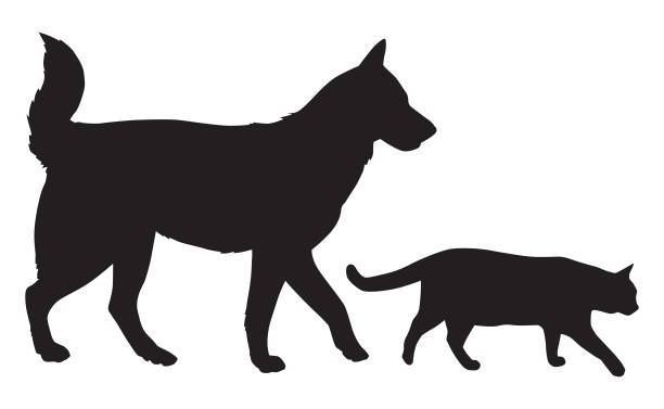 Dog And Cat Walking Together Vector silhouette of a dog and a cat walking together. dog silhouettes stock illustrations