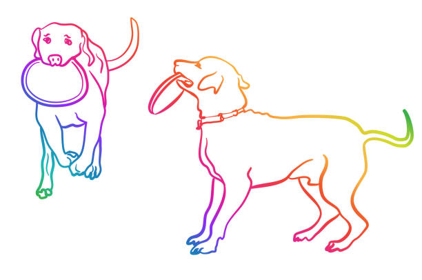 Dog And Frisbee Rainbow Dog carrying a frisbee in his mouth, vector drawing illustration frisbee clipart stock illustrations