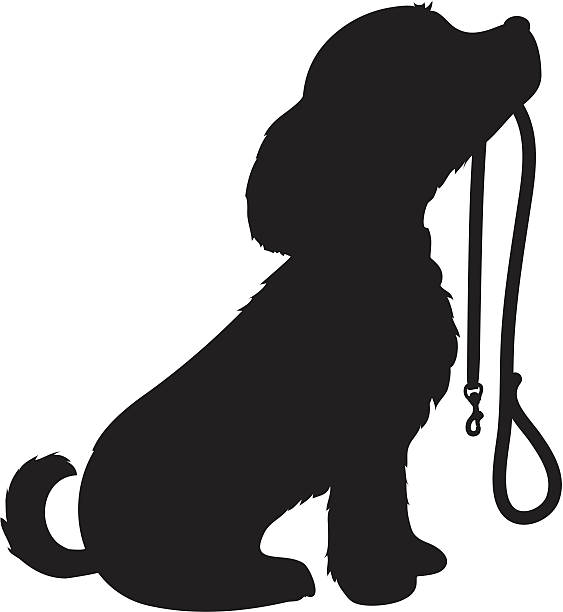 Dog and Leash A black silhouette of a sitting dog holding it's leash in it's mouth, patiently waiting to go for a walk. dog silhouettes stock illustrations