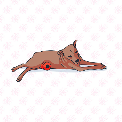 Dog and Toy Illustration - Cute Puppy posing for pictures